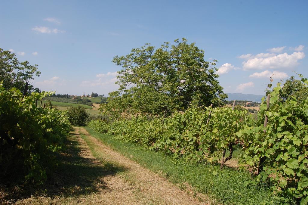 La Spiga D'Oro ξενώνας Pozzo  Εξωτερικό φωτογραφία