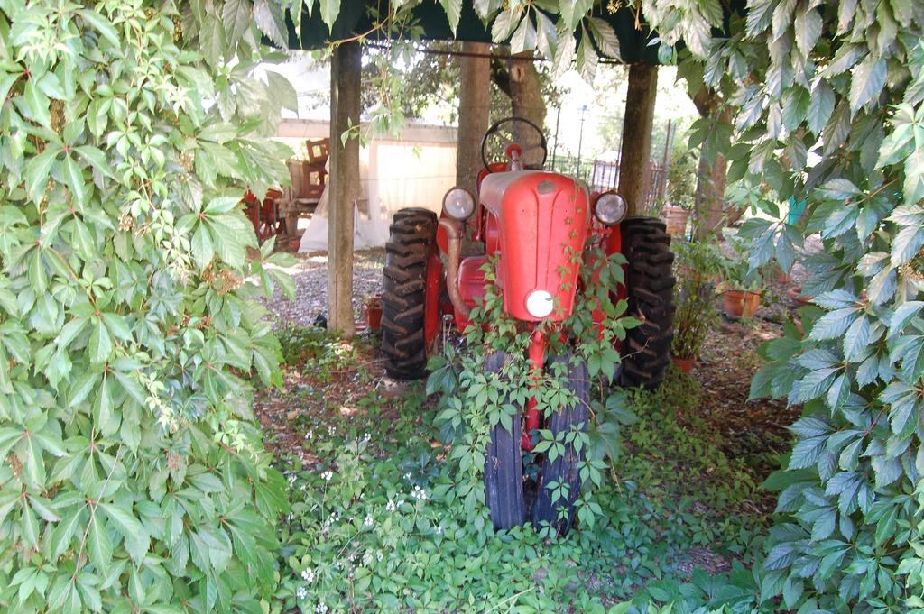La Spiga D'Oro ξενώνας Pozzo  Εξωτερικό φωτογραφία