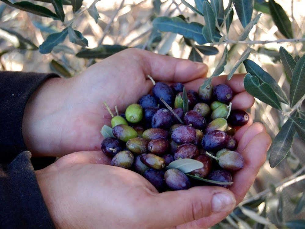 La Spiga D'Oro ξενώνας Pozzo  Εξωτερικό φωτογραφία